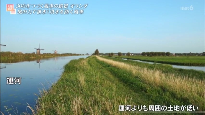 f:id:takanasuougi:20210308154817j:plain