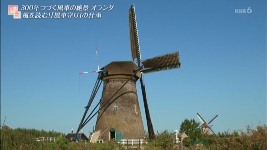 f:id:takanasuougi:20210308161123j:plain