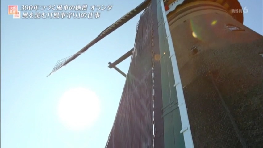 f:id:takanasuougi:20210308161721j:plain