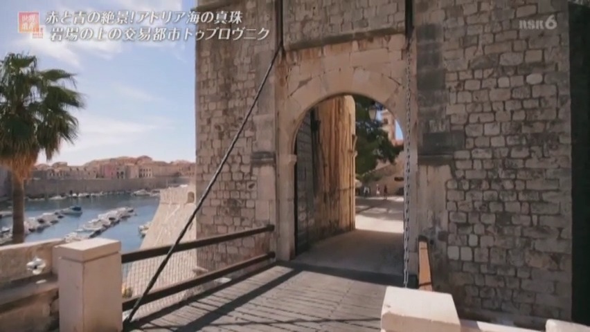 f:id:takanasuougi:20210315132757j:plain
