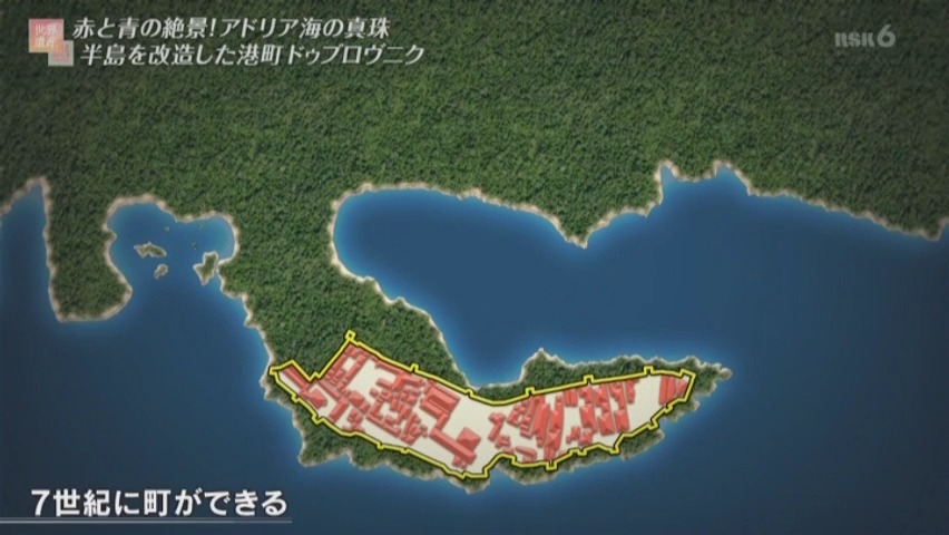 f:id:takanasuougi:20210315135143j:plain