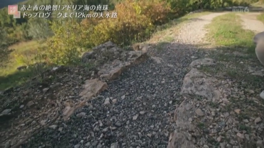 f:id:takanasuougi:20210315140858j:plain