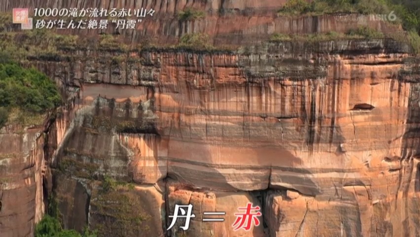 f:id:takanasuougi:20210322130652j:plain