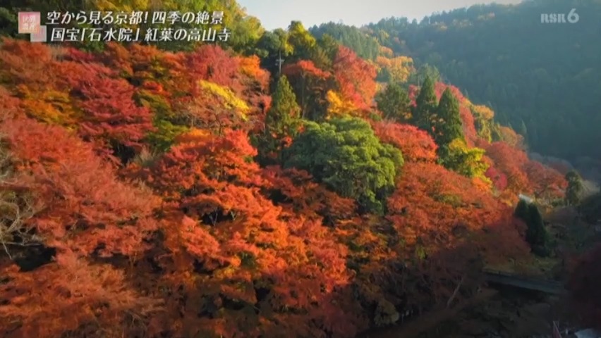 f:id:takanasuougi:20210405125614j:plain