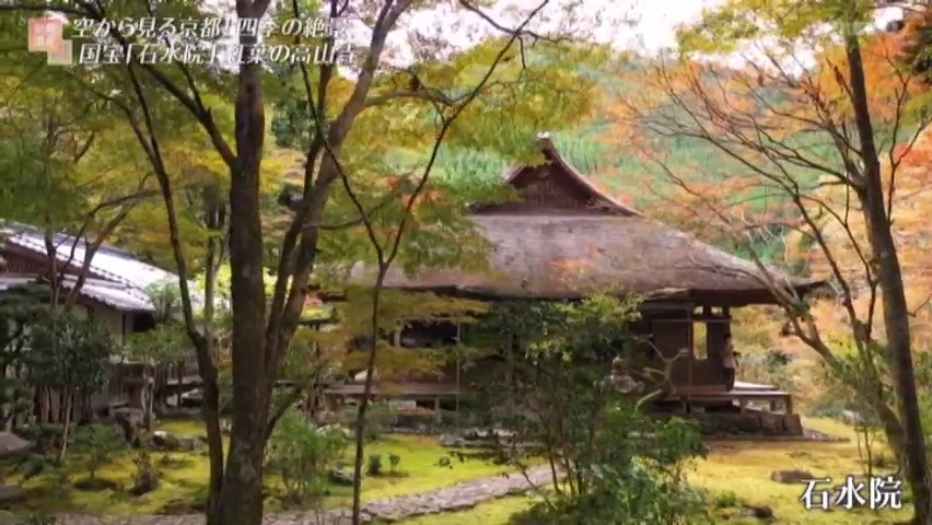 f:id:takanasuougi:20210405125635j:plain