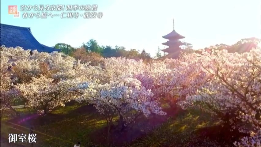 f:id:takanasuougi:20210405130349j:plain