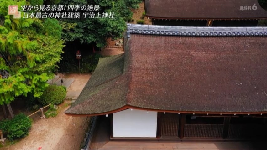 f:id:takanasuougi:20210405145411j:plain