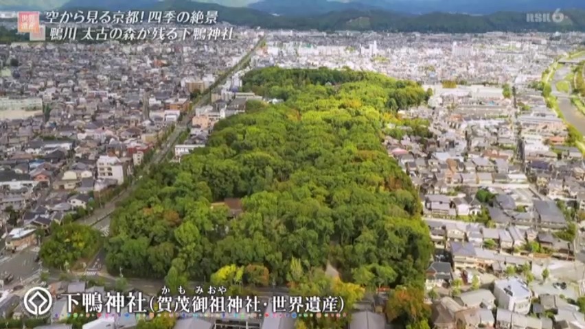 f:id:takanasuougi:20210405145518j:plain