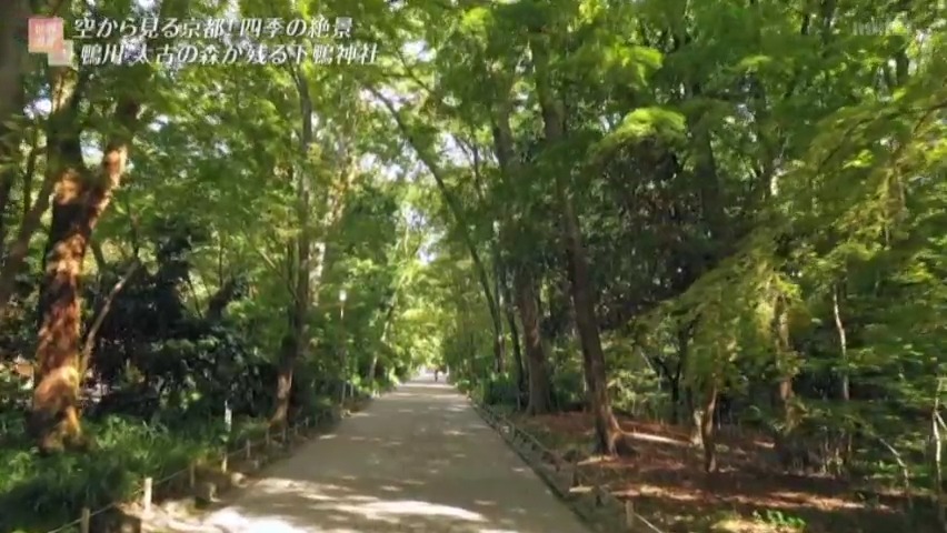 f:id:takanasuougi:20210405145756j:plain