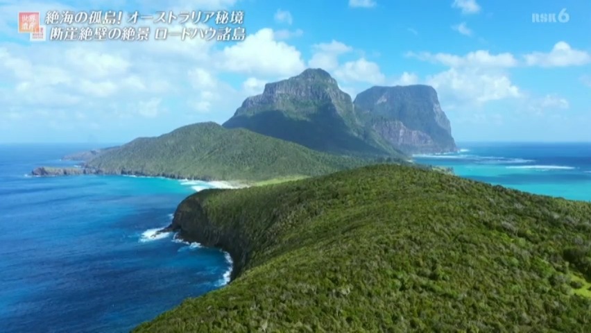 f:id:takanasuougi:20210413173339j:plain