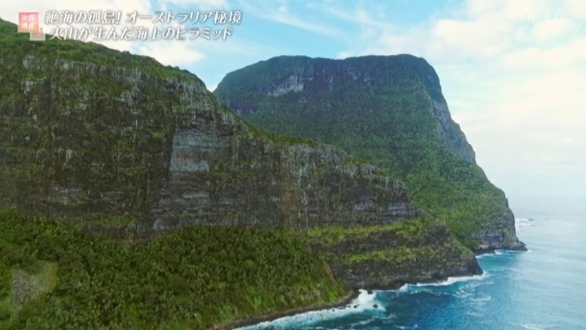 f:id:takanasuougi:20210413173458j:plain