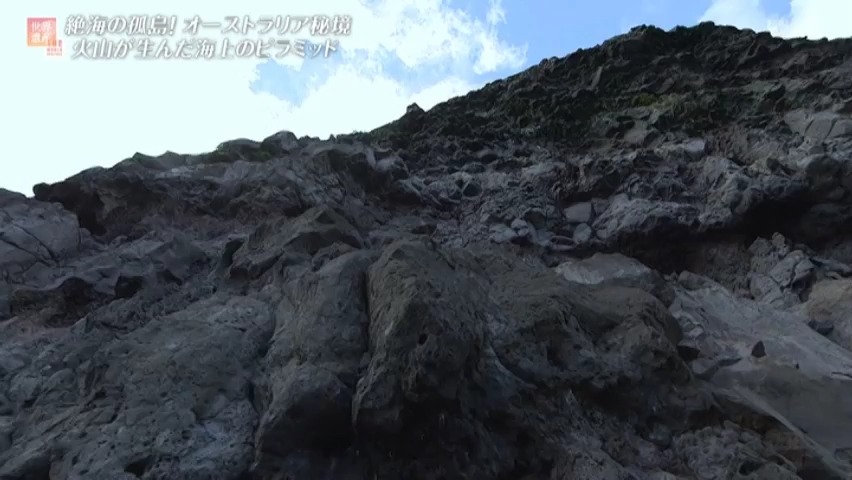 f:id:takanasuougi:20210413173545j:plain