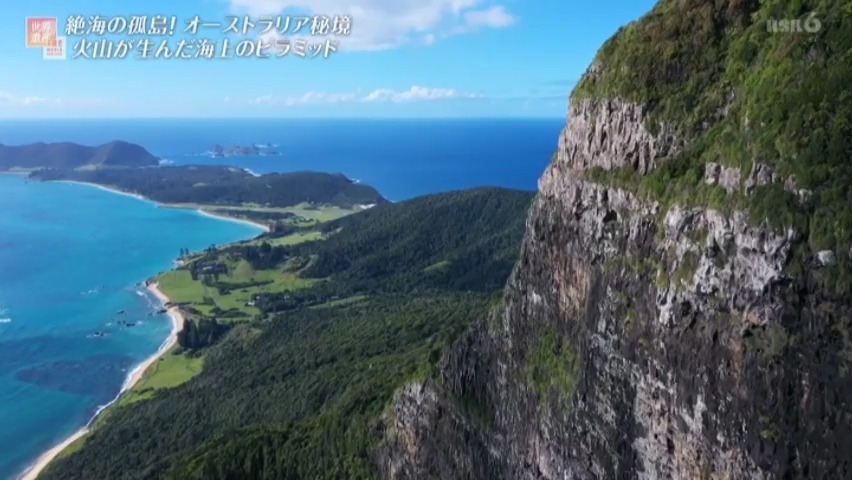 f:id:takanasuougi:20210414140417j:plain
