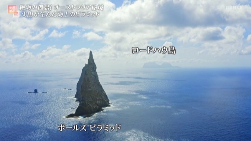 f:id:takanasuougi:20210414140606j:plain