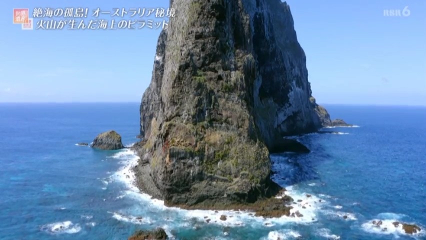 f:id:takanasuougi:20210414140656j:plain