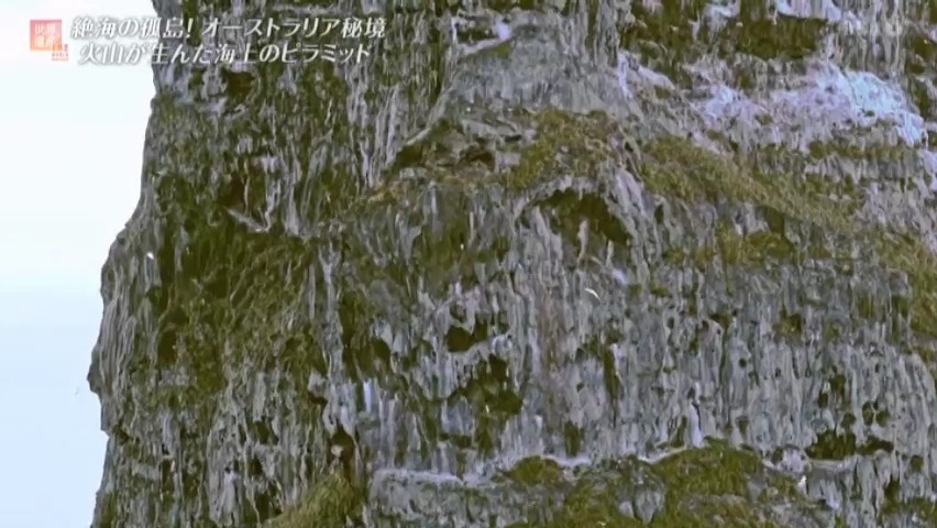 f:id:takanasuougi:20210414140706j:plain