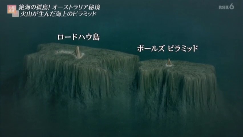 f:id:takanasuougi:20210414141115j:plain