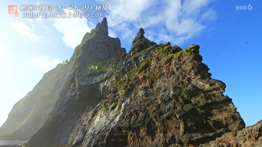 f:id:takanasuougi:20210414141222j:plain