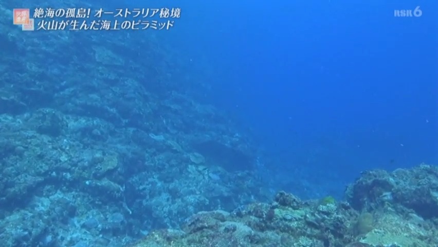 f:id:takanasuougi:20210414141318j:plain