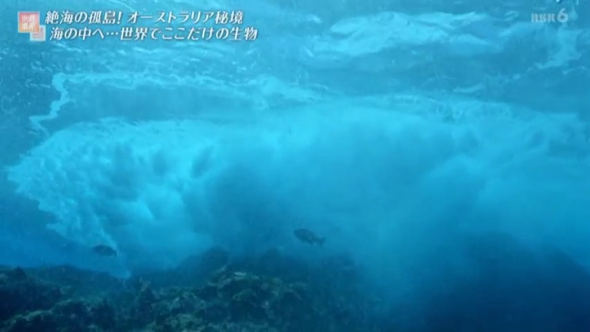 f:id:takanasuougi:20210414141330j:plain