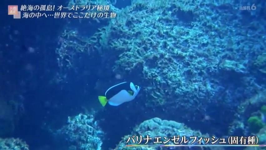 f:id:takanasuougi:20210414141507j:plain