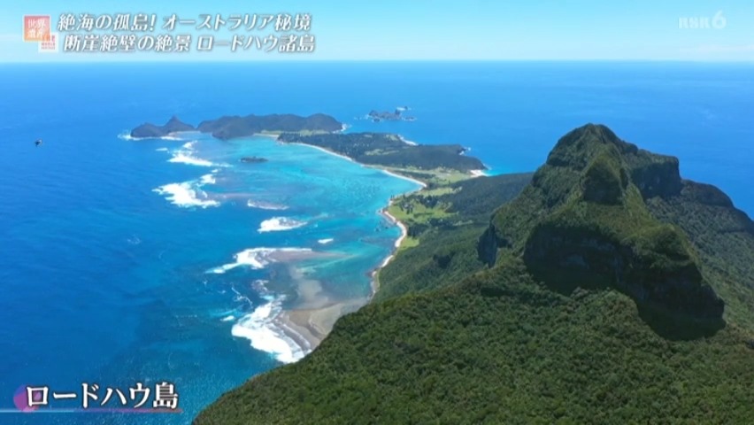 f:id:takanasuougi:20210414141556j:plain