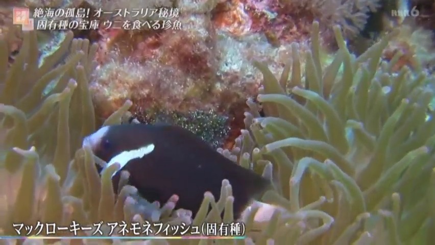 f:id:takanasuougi:20210414141853j:plain