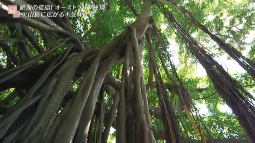 f:id:takanasuougi:20210414142442j:plain