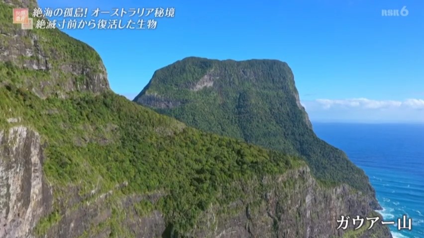 f:id:takanasuougi:20210414142543j:plain