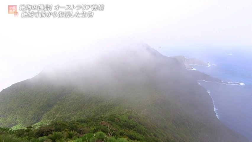 f:id:takanasuougi:20210414142643j:plain