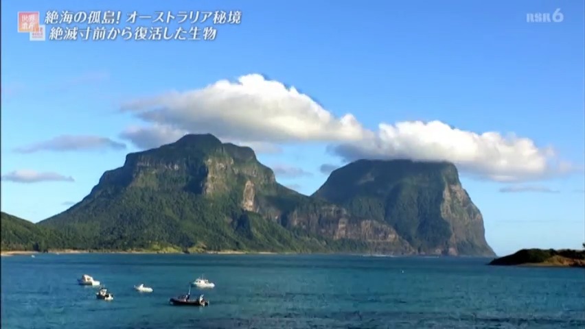 f:id:takanasuougi:20210414142655j:plain