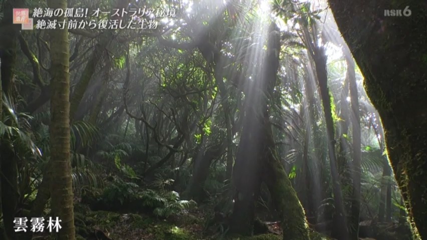 f:id:takanasuougi:20210414142729j:plain