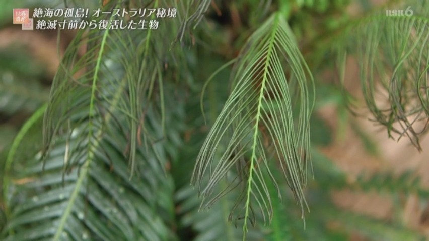 f:id:takanasuougi:20210414142846j:plain