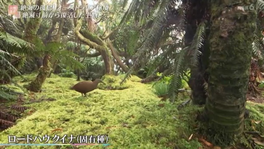 f:id:takanasuougi:20210414142949j:plain