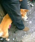 f:id:takanee:20061009115712j:image f:id:takanee:20061009115712j:image