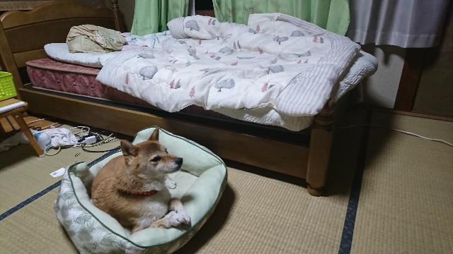 f:id:takanisi:20180903213343j:image