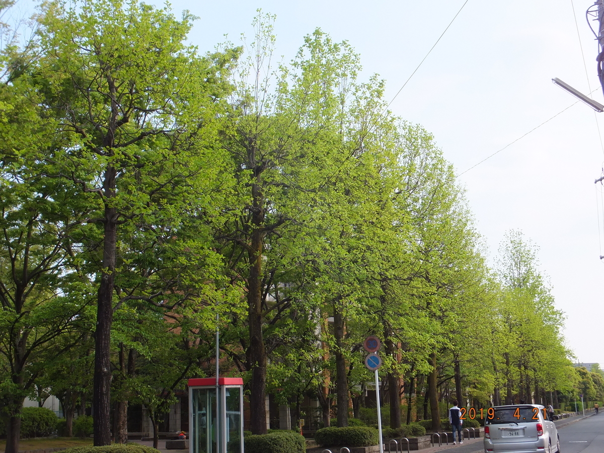 f:id:takano1stpchinko:20190421172028j:plain