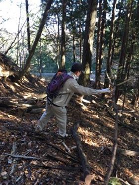 f:id:takao-i-project:20171120224144j:plain