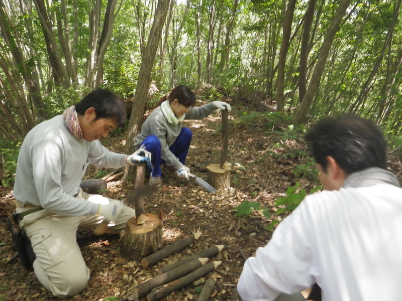 f:id:takao100project:20110723102151j:image:w360:right