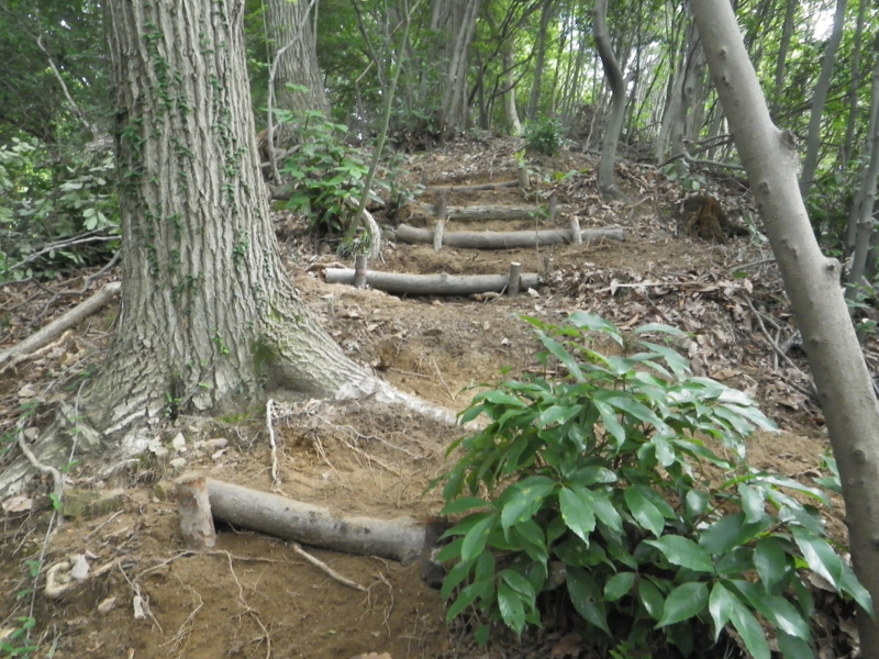 f:id:takao100project:20110723141923j:image:w360:right