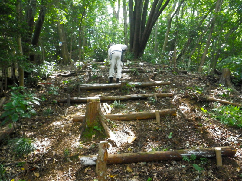 f:id:takao100project:20110806110012j:image:w360:right