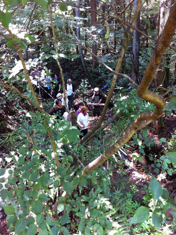f:id:takao100project:20110807114754j:image:w360:right