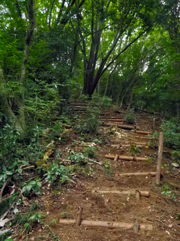 f:id:takao100project:20110807140148j:image:w360:right