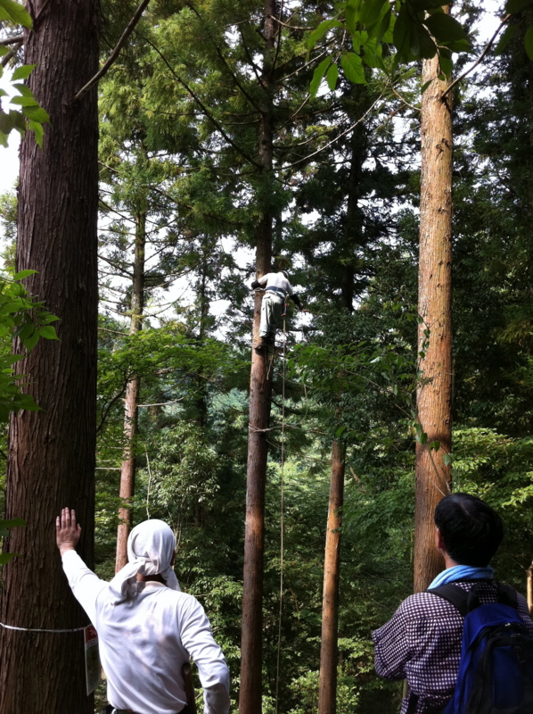 f:id:takao100project:20110813142539j:image:w360:right