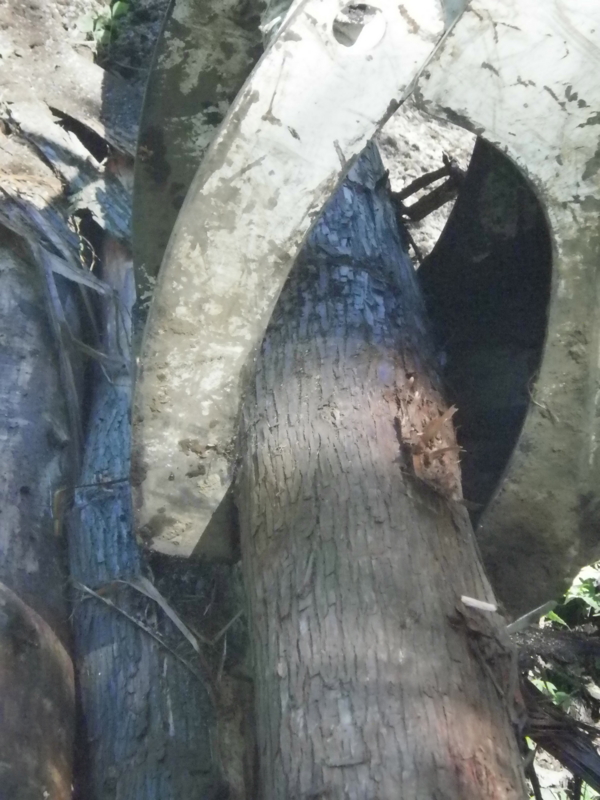 f:id:takao100project:20110915133348j:image:w360:right