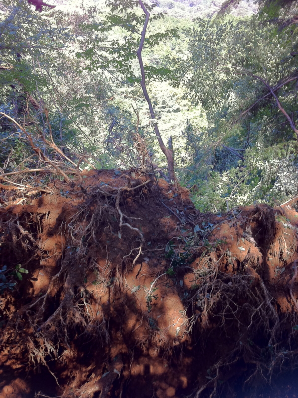 f:id:takao100project:20110924102511j:image:w360:right