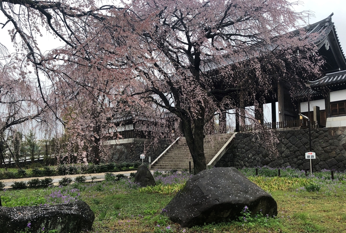 f:id:takaosanguchi:20210321110526j:plain