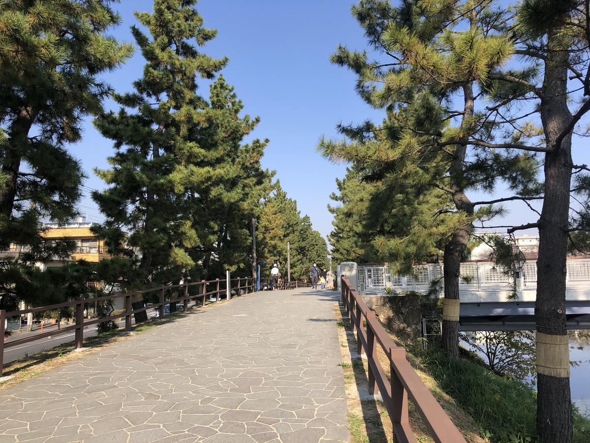 f:id:takaosanguchi:20211121164745j:plain