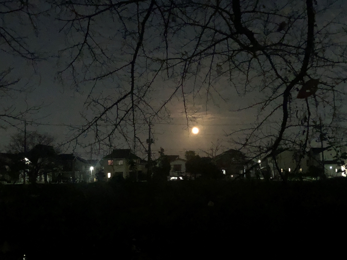 f:id:takaosanguchi:20211121224233j:plain