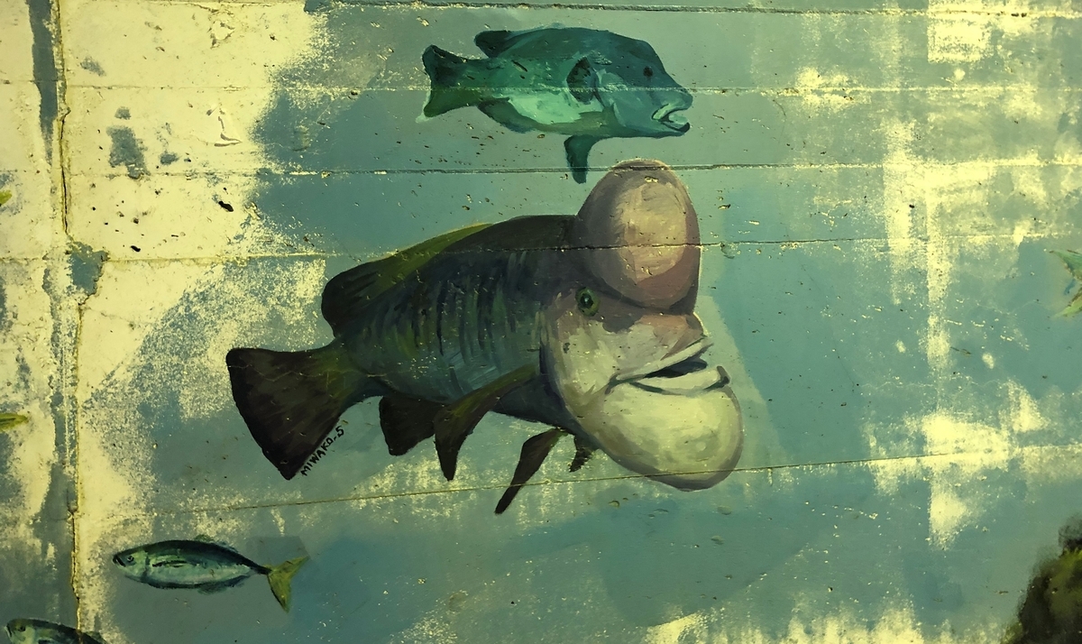 f:id:takaosanguchi:20220413153835j:plain